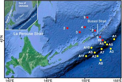 Macrofauna and Nematode Abundance in the Abyssal and Hadal Zones of Interconnected Deep-Sea Ecosystems in the Kuril Basin (Sea of Okhotsk) and the Kuril-Kamchatka Trench (Pacific Ocean)